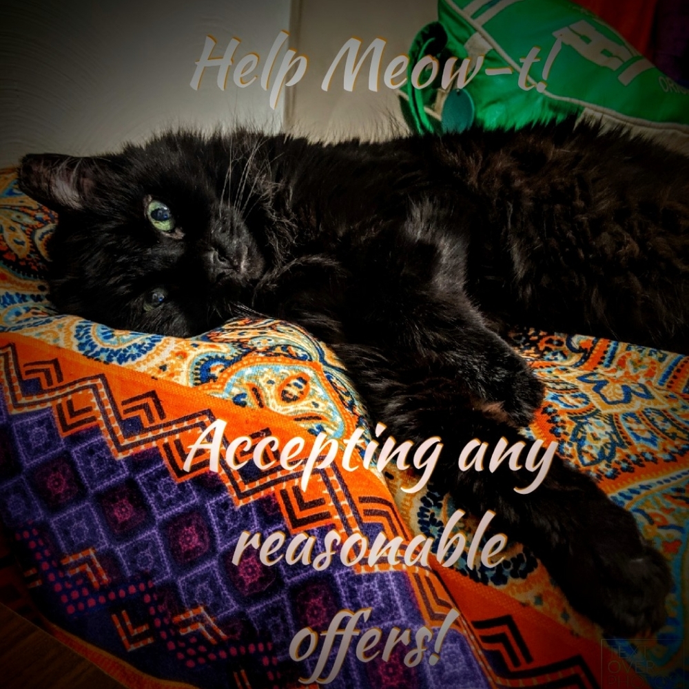 All proceeds from my sales go towards vet bills for this little monster